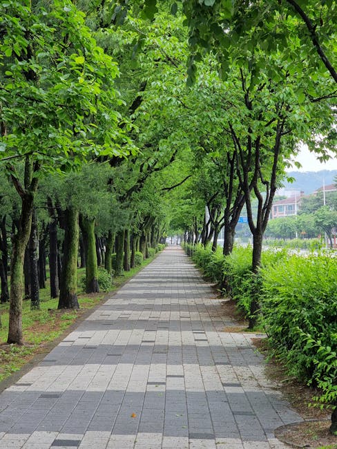 분당구 영문주소 작성법 — 성남시 도로명 공식 표기 가이드