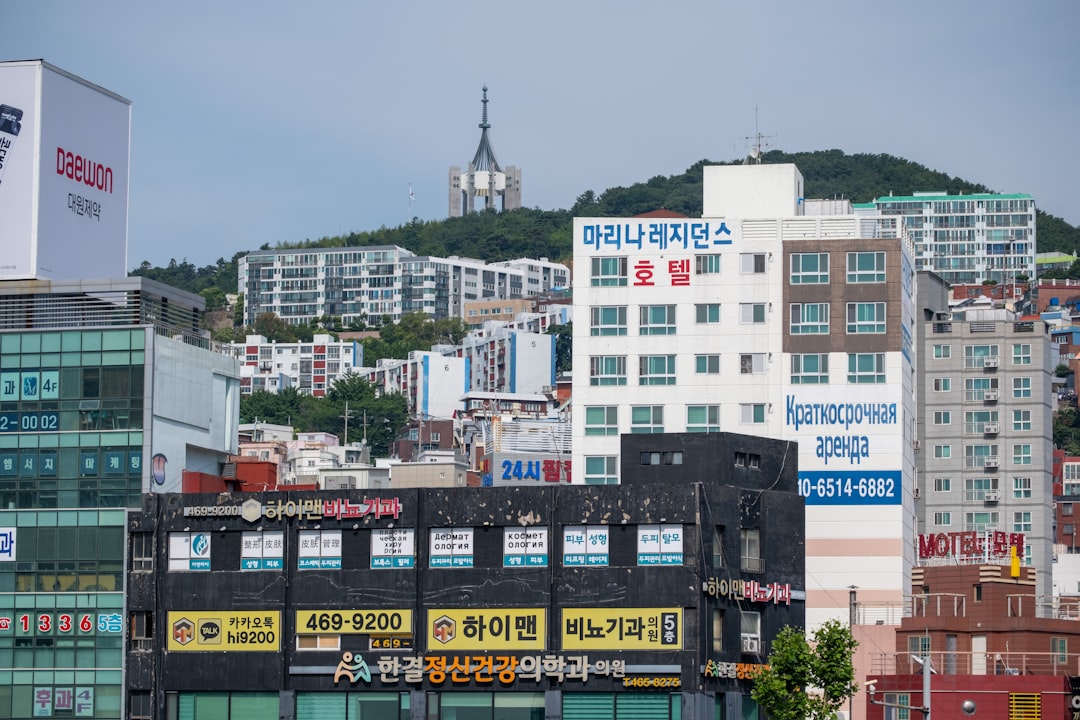 부산 해운대구 언덕 위 빼곡한 주택가 전경