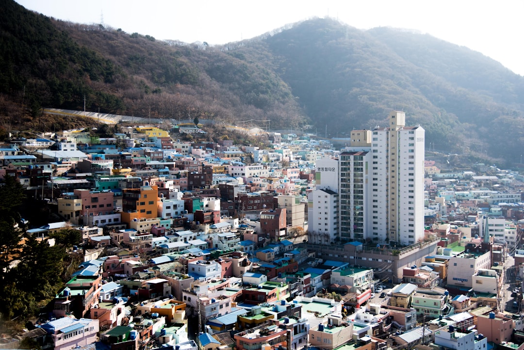 강원도 시청 도로명주소 — 춘천 강릉 원주 주소 조회