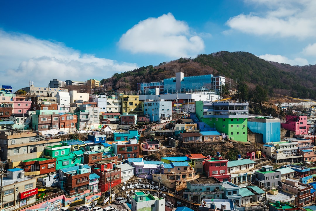 한국 도시 주민등록 전입신고 거주지 변경