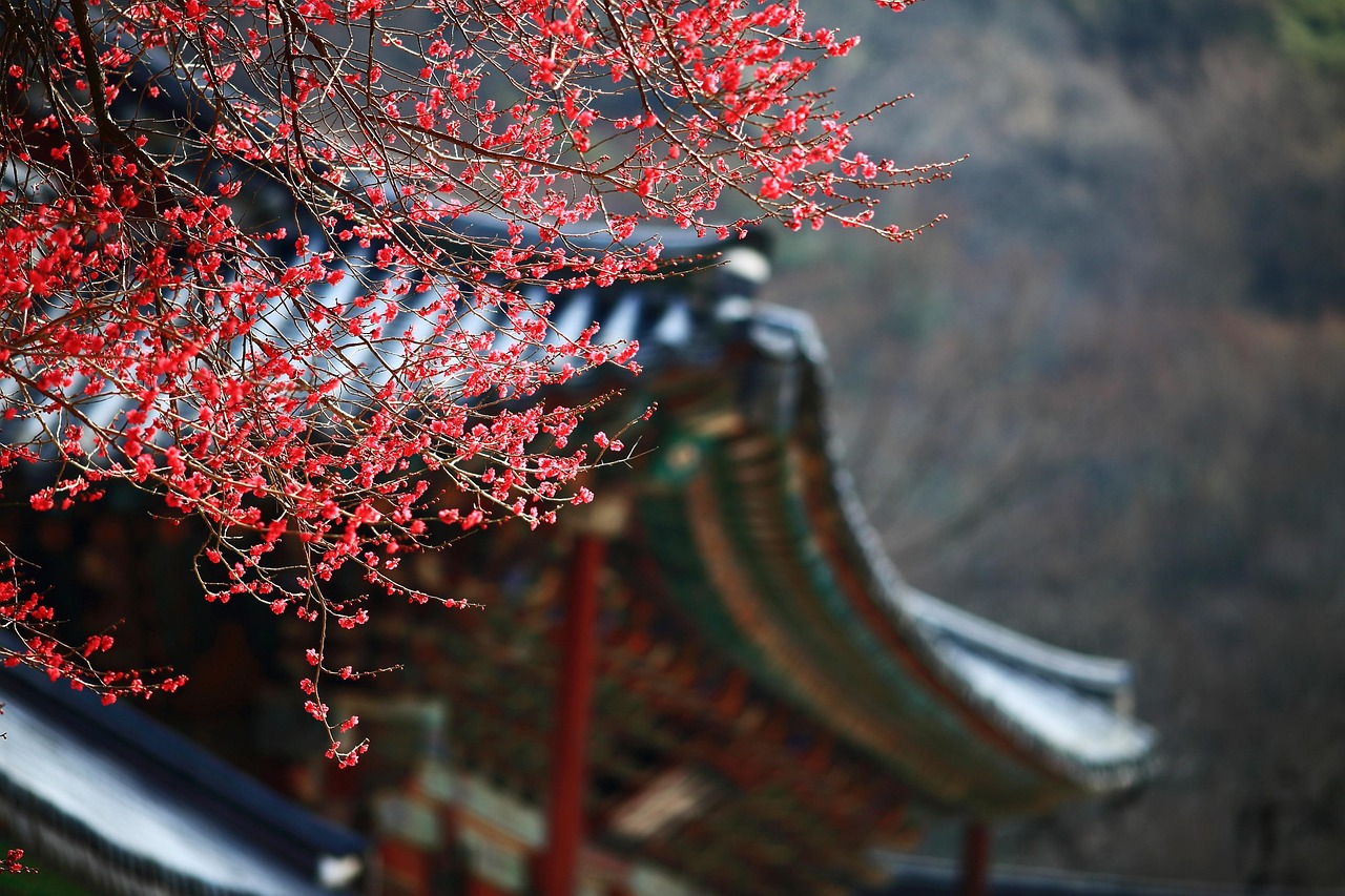 한국 영문주소 변경 확인 절차