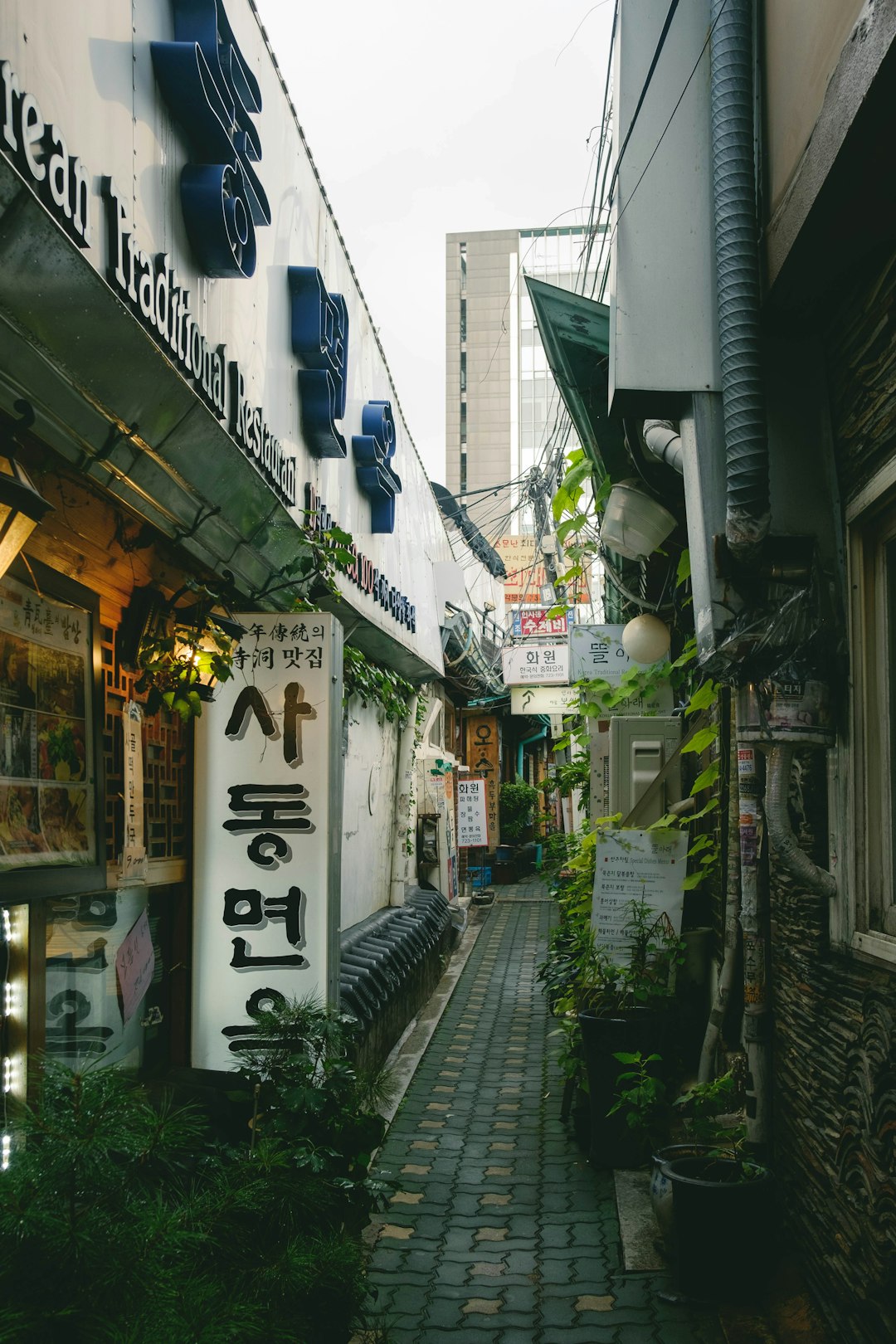 韩国医院英文地址填写模板