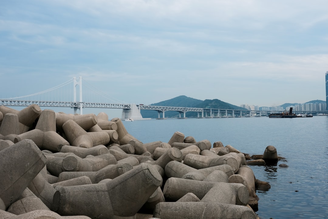 韩国海淘配送包裹指南