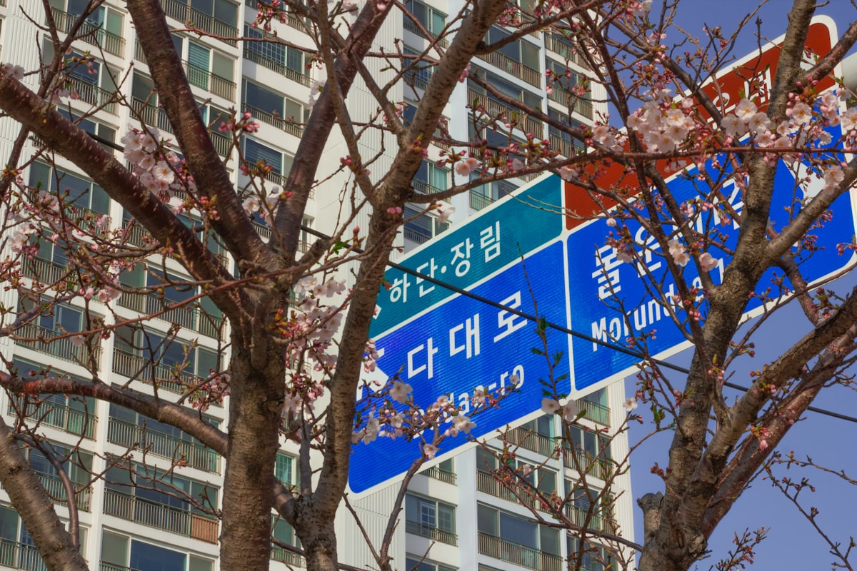 한국 거리 영문 도로명 표지판