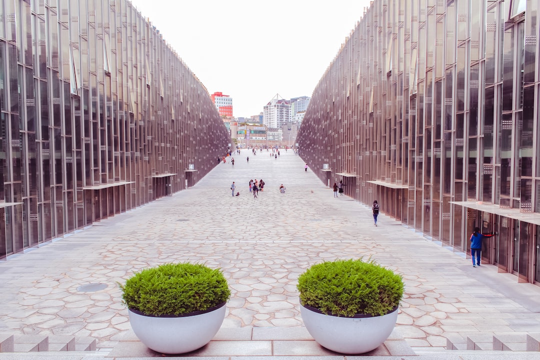 University campus pathway lined with brick walls in Korea