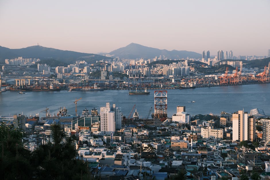 울산 항만 일출 — 산업단지 인근 항구 전망